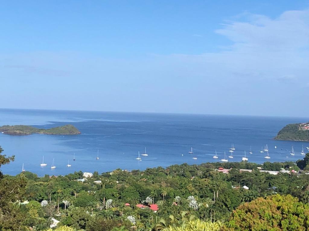 Calypso Bay Villa Bouillante Exterior photo